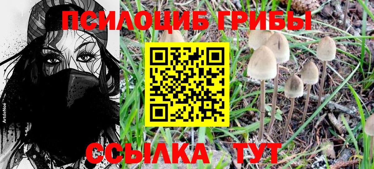Псилоцибиновые грибы Psilocybine cubensis Кумертау