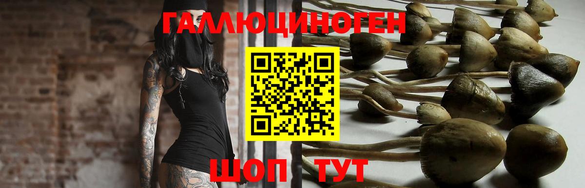 Галлюциногенные грибы GOLDEN TEACHER  Вход с VPN  Кумертау  Галлюциногенные грибы Cubensis 